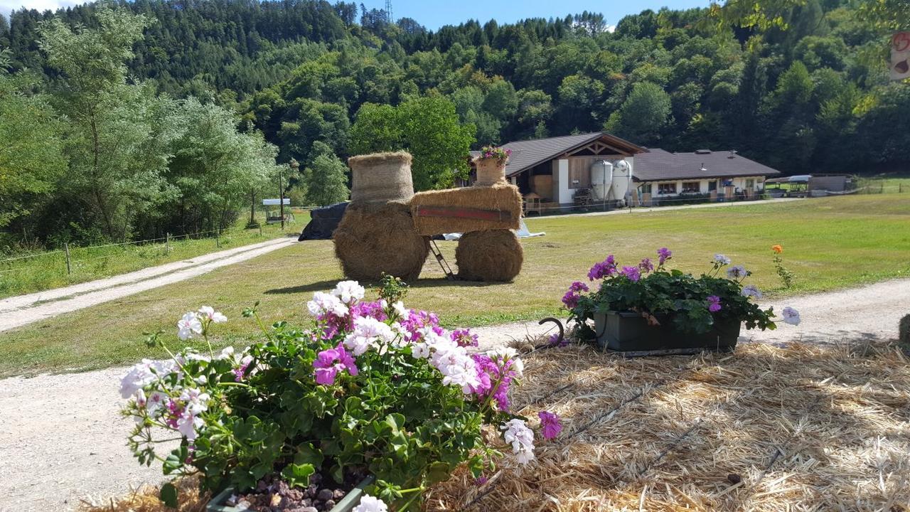 Agriturismo Fattoria Dalcastagne Torcegno 외부 사진